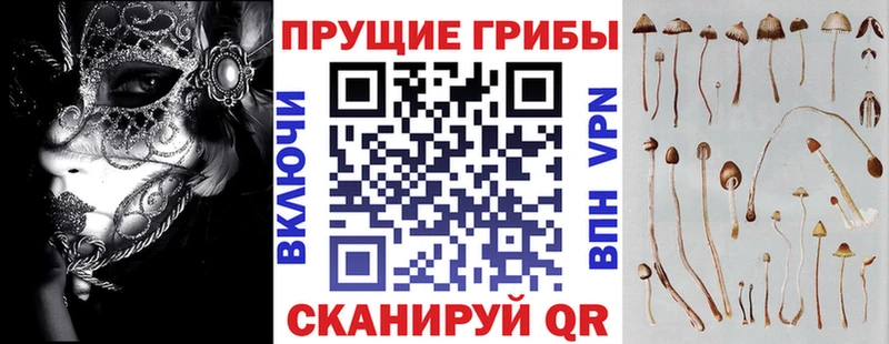 Галлюциногенные грибы мухоморы  Купить закладки  Тында 